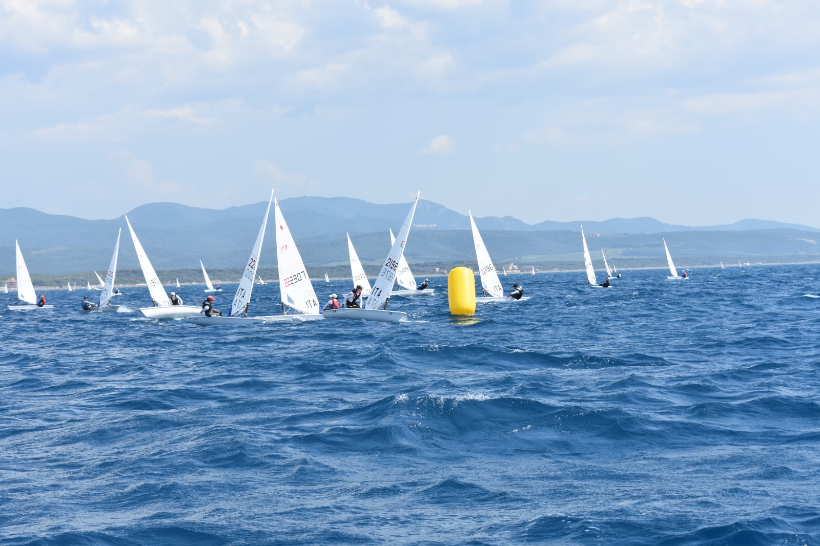 Regata Zonale ILCA